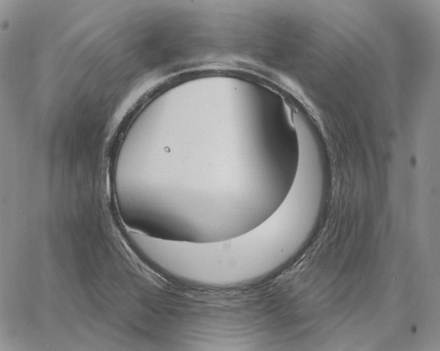 X0000062841368200602031551