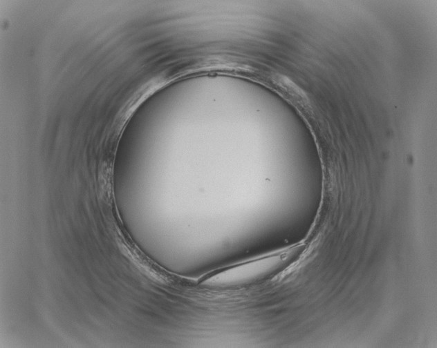 X0000062841369200602031551