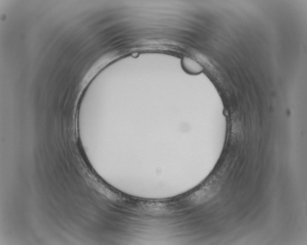 X0000062841370200602031551