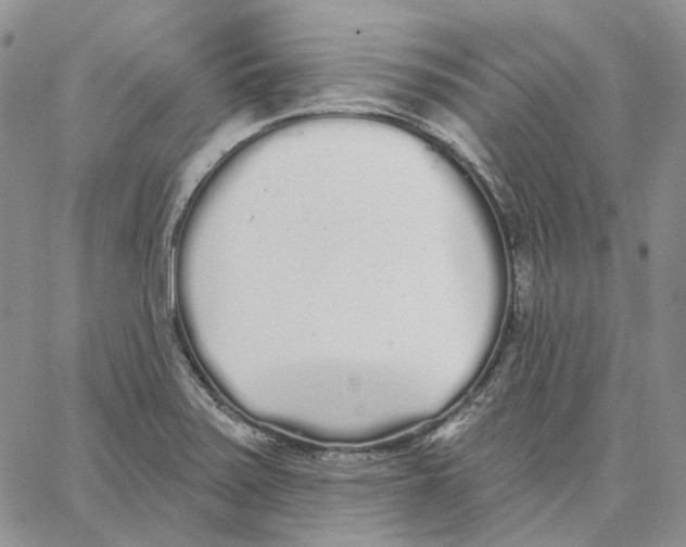 X0000062841371200602031551