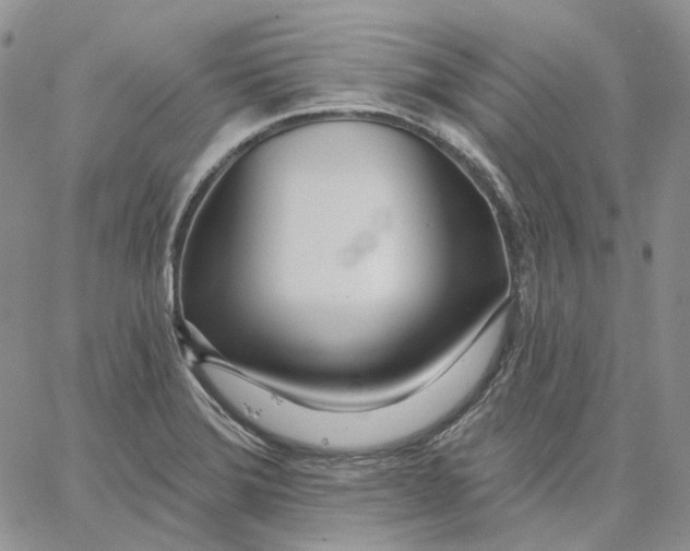 X0000062841372200602031551