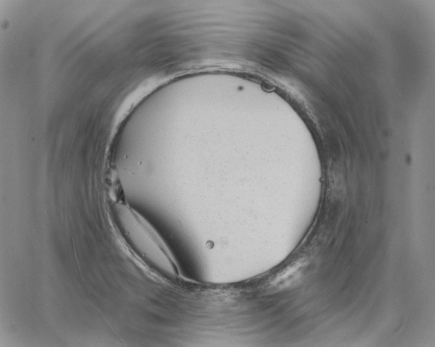 X0000062841373200602031551