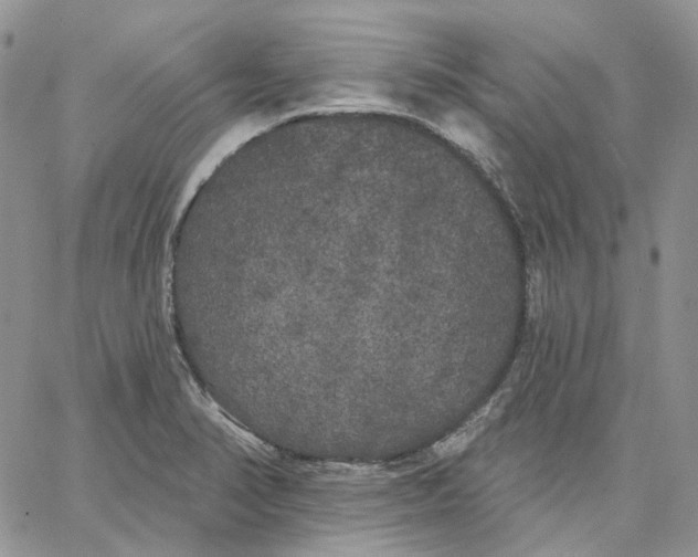 X0000062841374200602031551