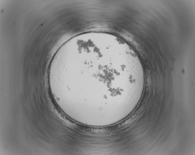 X0000062841375200602031551