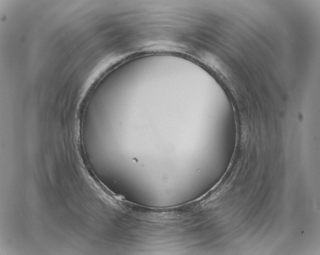 X0000062841376200602031551