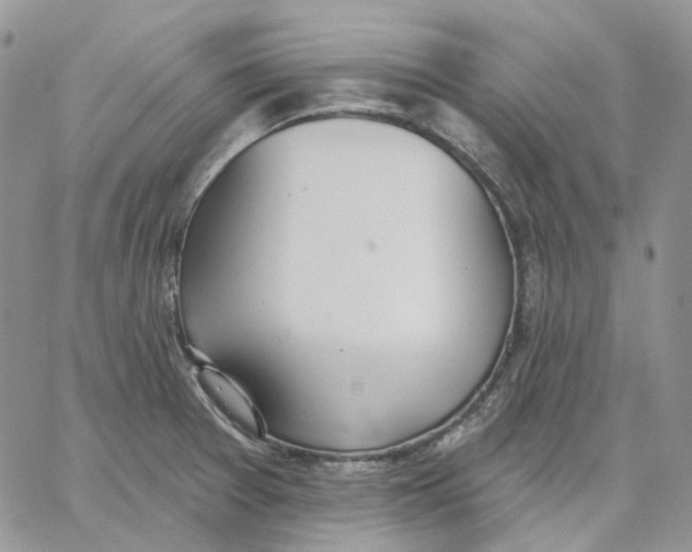 X0000062841377200602031551