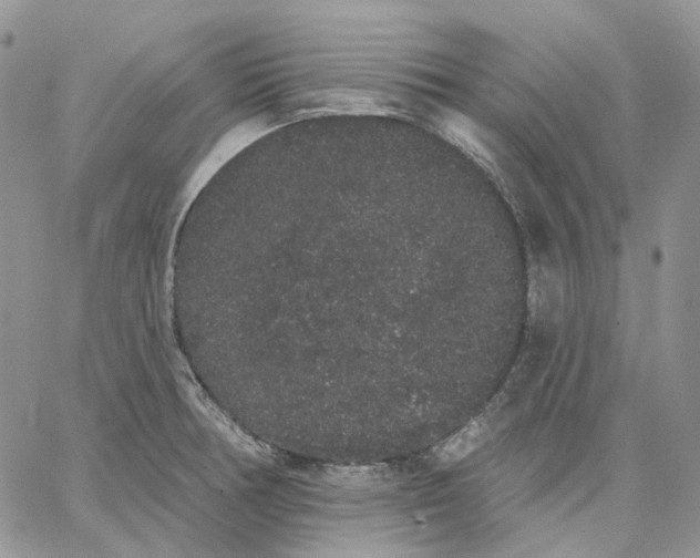 X0000062841378200602031551