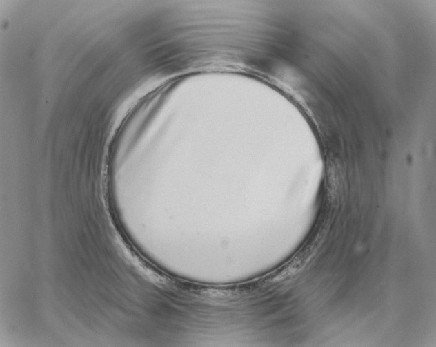 X0000062841379200602031551