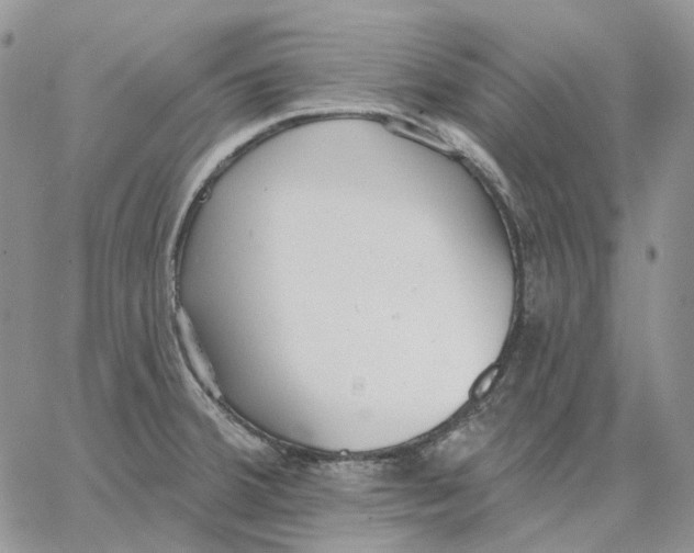 X0000062841380200602031551