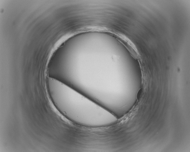 X0000062841381200602031551