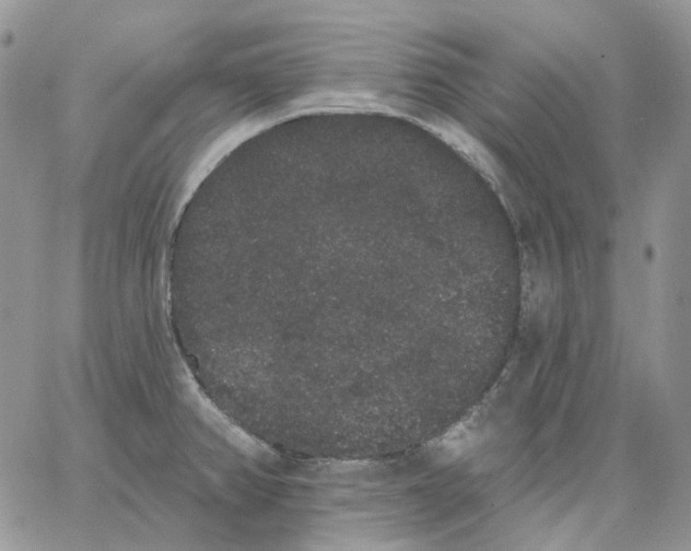 X0000062841382200602031551