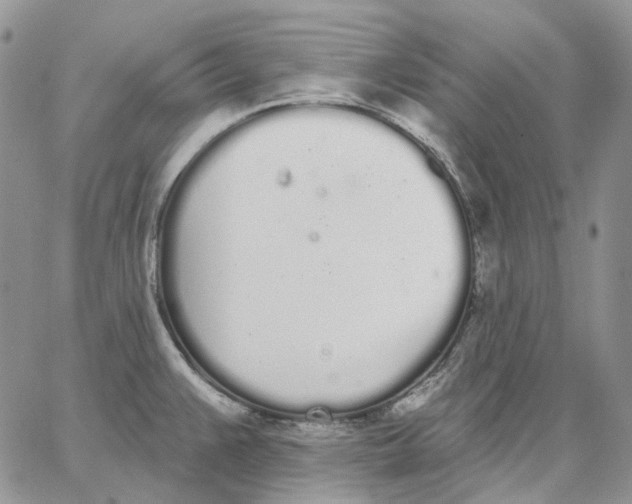 X0000062841383200602031551