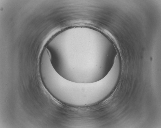 X0000062841384200602031551