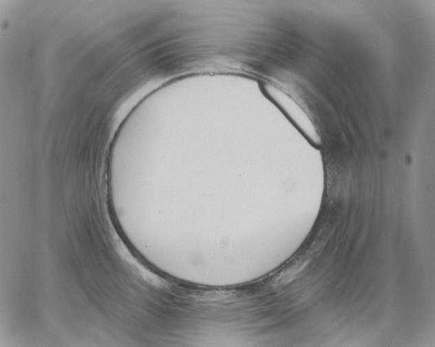 X0000062841387200602031551