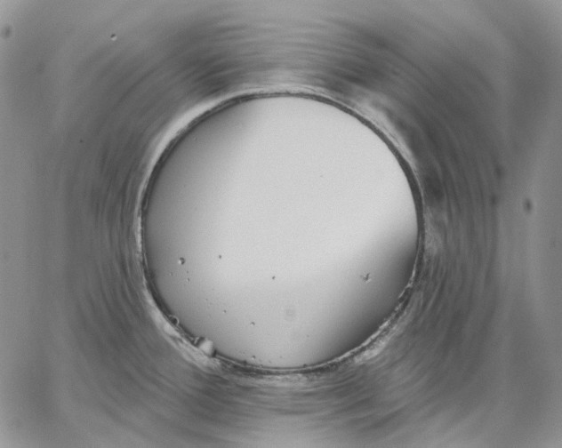 X0000062841388200602031551