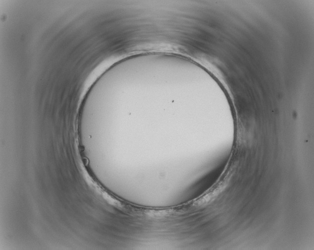 X0000062841389200602031551