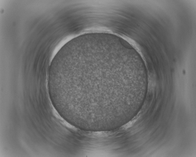 X0000062841390200602031551