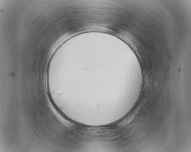 X0000062841391200602031551