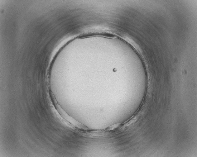 X0000062841392200602031551