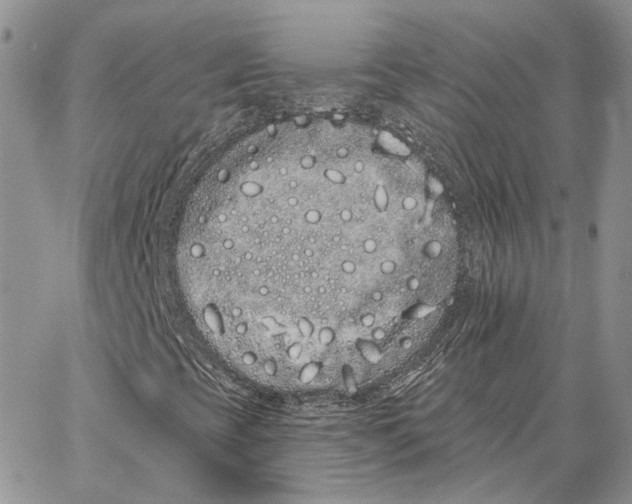 X0000062841393200602031550