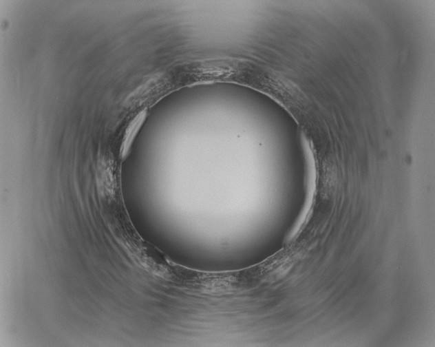 X0000062841394200602031550