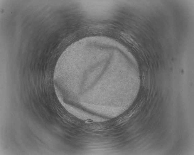 X0000062841395200602031550