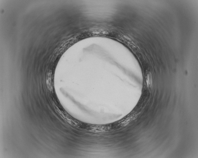 X0000062841396200602031550