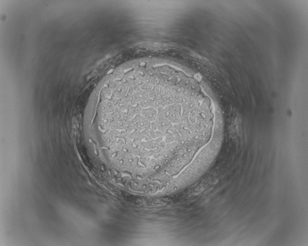 X0000062841397200602031550