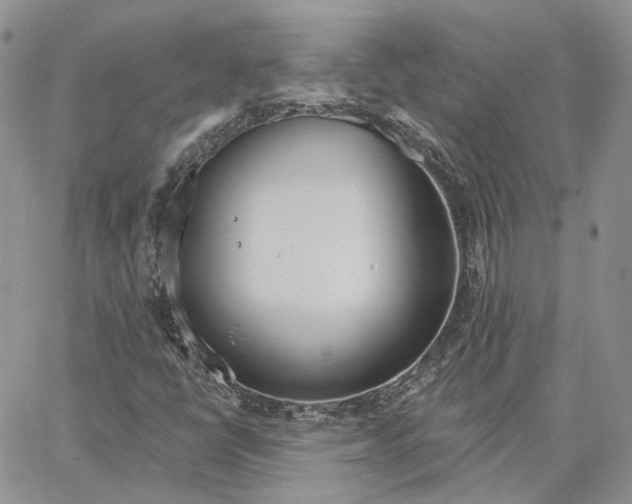 X0000062841398200602031550