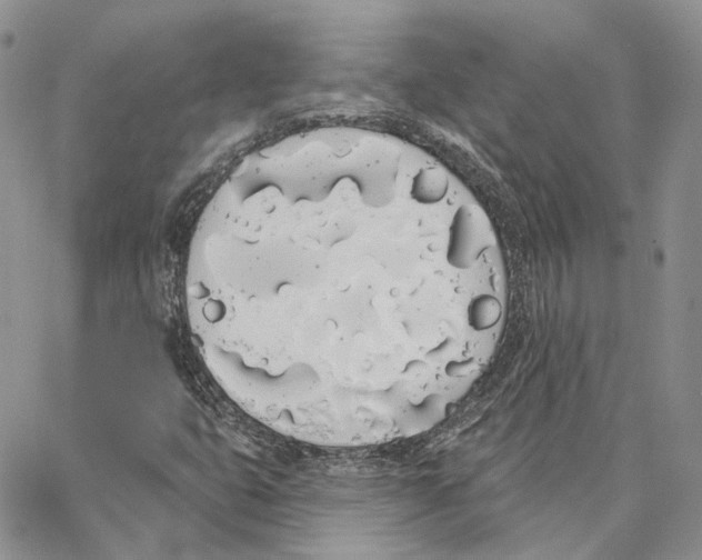 X0000062841399200602031550