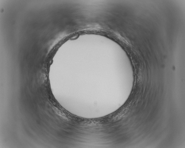 X0000062841400200602031550