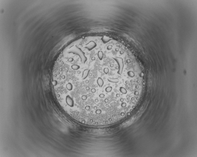 X0000062841401200602031550