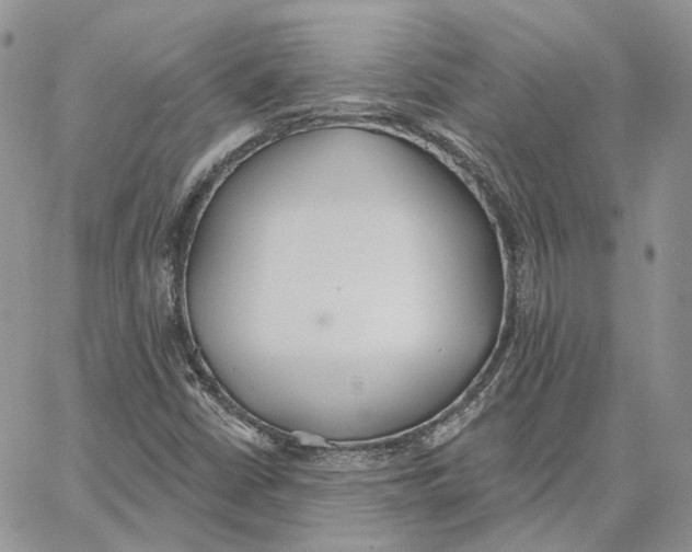 X0000062841402200602031550