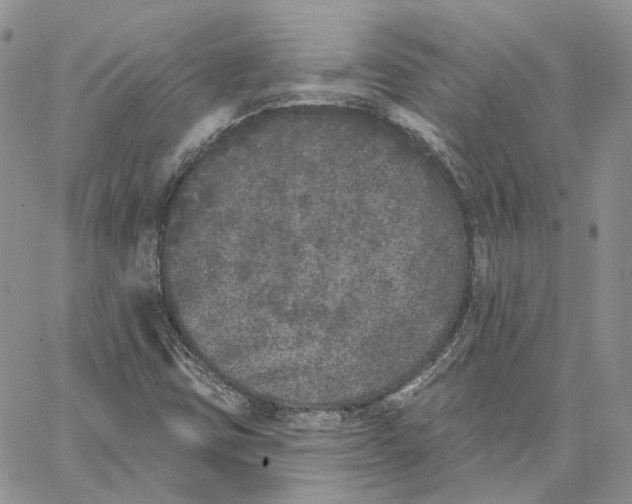 X0000062841403200602031550