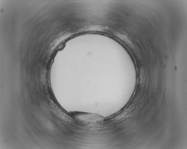 X0000062841404200602031550