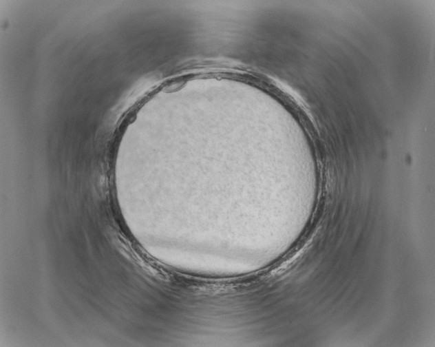 X0000062841407200602031550