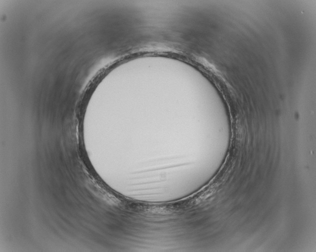 X0000062841408200602031550