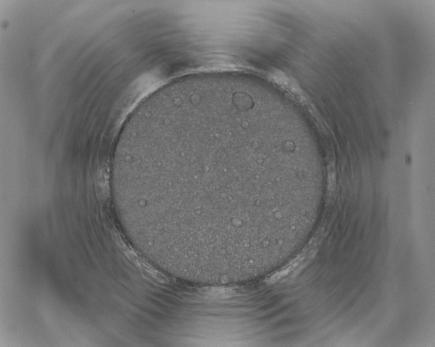 X0000062841409200602031550