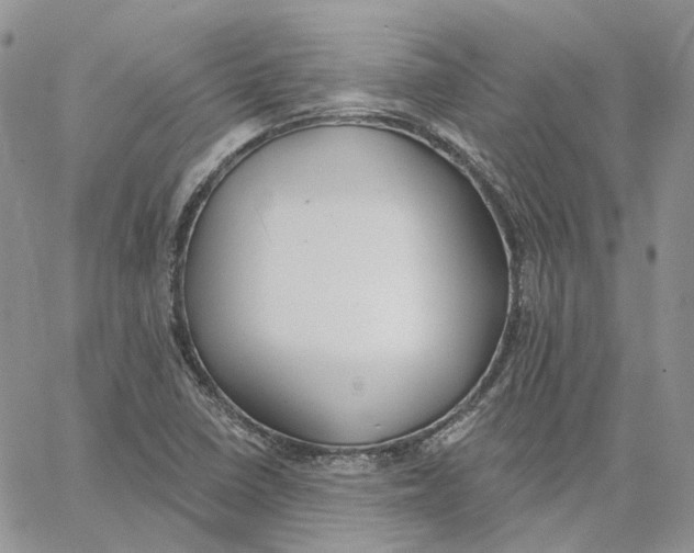 X0000062841410200602031550