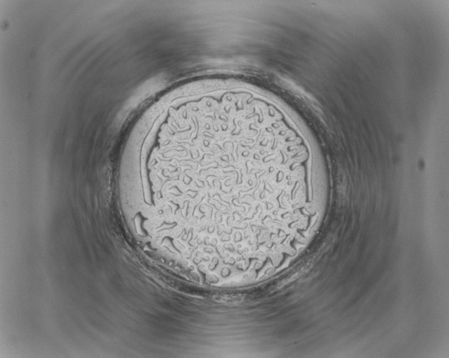 X0000062841411200602031550