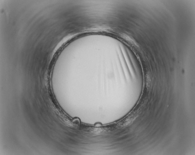 X0000062841412200602031550