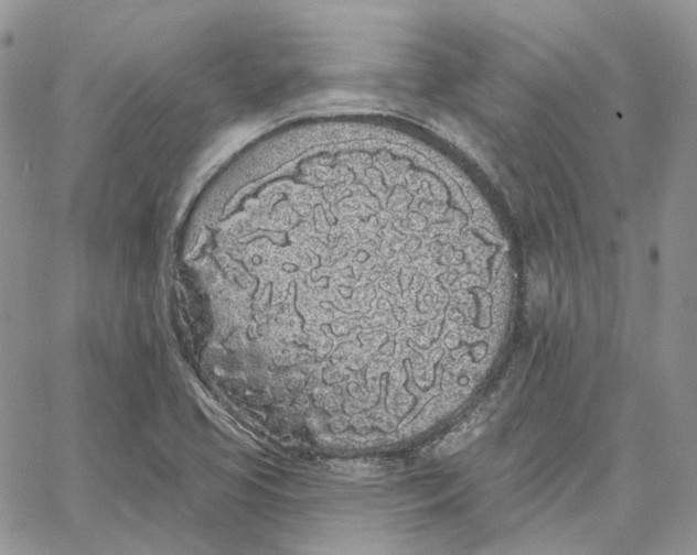 X0000062841413200602031550