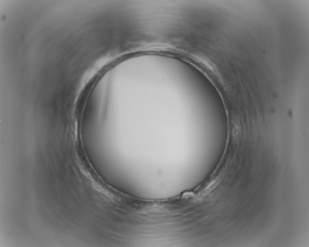 X0000062841414200602031550