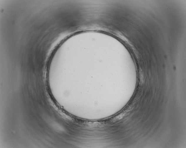 X0000062841416200602031550