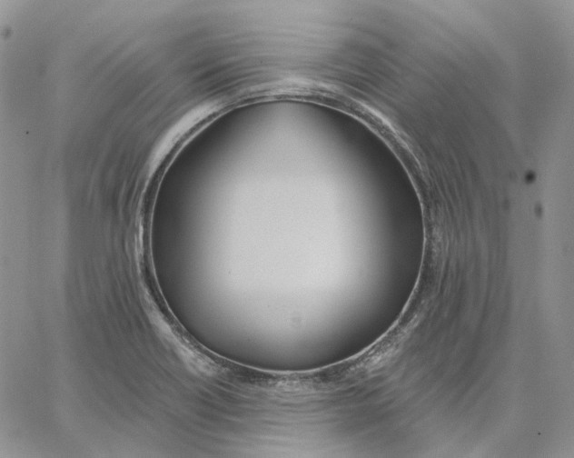 X0000062841418200602031550