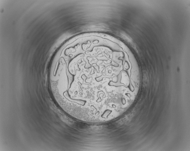 X0000062841419200602031551