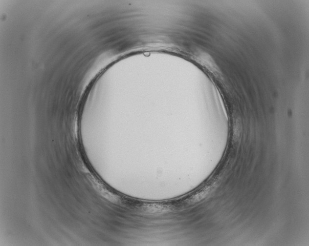 X0000062841420200602031551