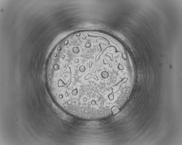 X0000062841421200602031551