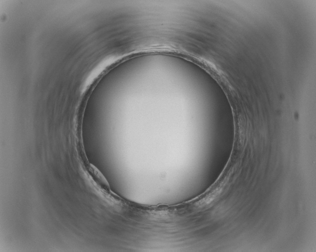 X0000062841422200602031551