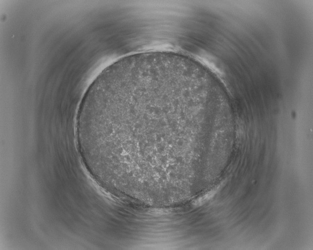 X0000062841423200602031551